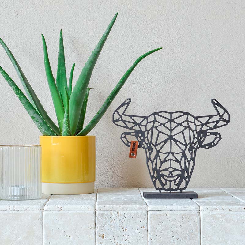 Stier Mini