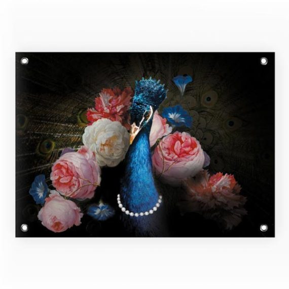 Tuinposter-blue-peacock.jpg